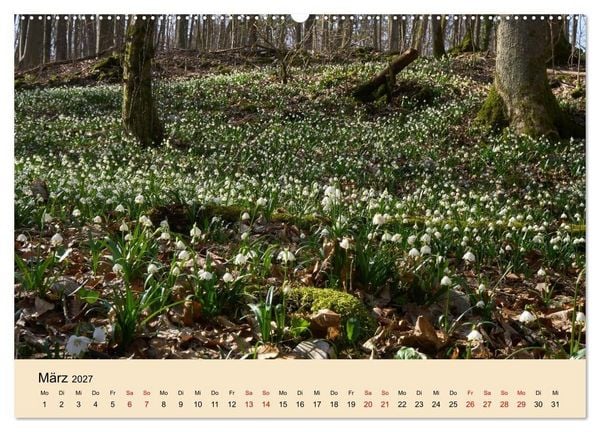 Produktbild: Franken - eine Region voller Naturwunder (Wandkalender 2027 DIN A2 quer), CALVENDO Monatskalender
