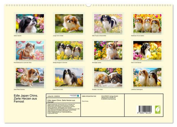 Produktbild: Edle Japan Chins. Zarte Herzen aus Fernost (hochwertiger Premium Wandkalender 2026 DIN A2 quer), Kunstdruck in Hochglanz