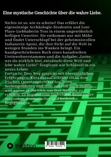 Produktbild: Das Labyrinth aus Sternenstaub und Tr&auml;umen