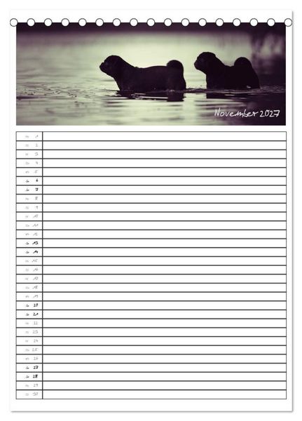 Produktbild: Der mopsige Familienplaner (Tischkalender 2027 DIN A5 hoch), CALVENDO Monatskalender