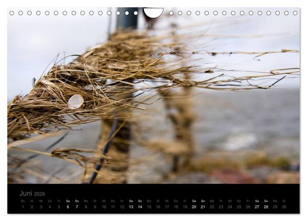 Produktbild: Natur im Detail (Wandkalender 2026 DIN A4 quer), CALVENDO Monatskalender
