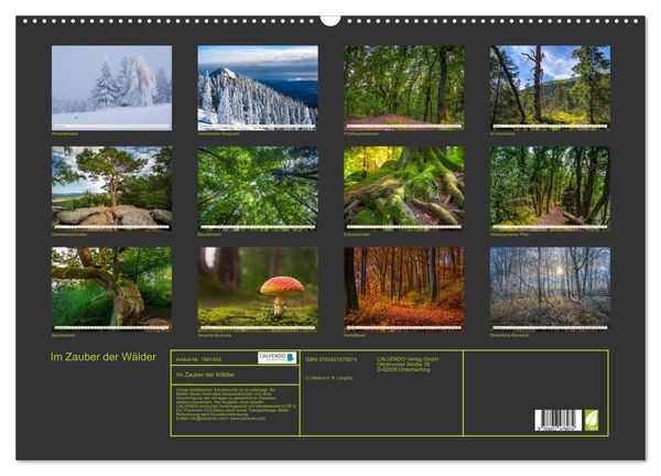 Produktbild: Im Zauber der W&auml;lder (Wandkalender 2026 DIN A2 quer), CALVENDO Monatskalender