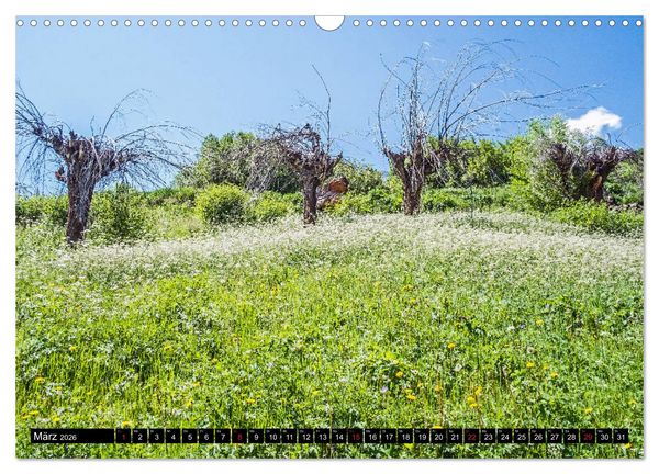 Produktbild: Himachal Pradesh - Bezaubernde Bergwelt im Himalaya (Wandkalender 2026 DIN A3 quer), CALVENDO Monatskalender