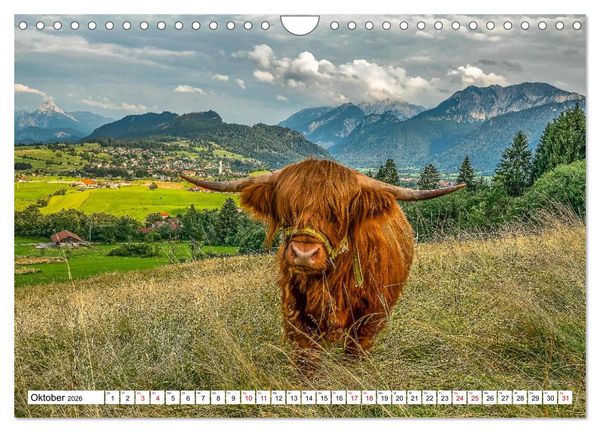 Produktbild: Kuhle Typen (Wandkalender 2026 DIN A4 quer), CALVENDO Monatskalender