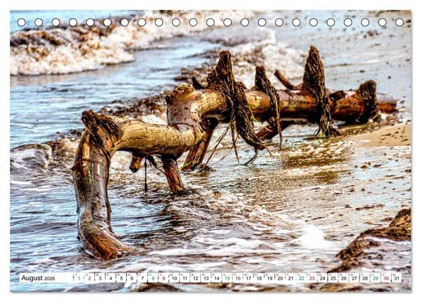 Produktbild: Dar&szlig;er Weststrand - Fischland Dar&szlig; Zingst (Tischkalender 2026 DIN A5 quer), CALVENDO Monatskalender
