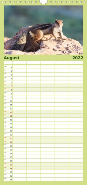 Produktbild: Atlash&ouml;rnchen - Familienplaner hoch (Wandkalender 2022 , 21 cm x 45 cm, hoch)