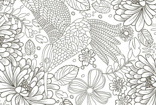 Produktbild: 50 cozy Karten zum Ausmalen &ndash; Natur