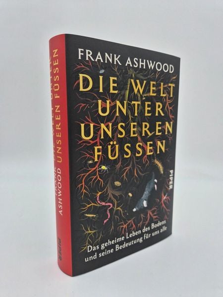 Produktbild: Die Welt unter unseren F&uuml;&szlig;en