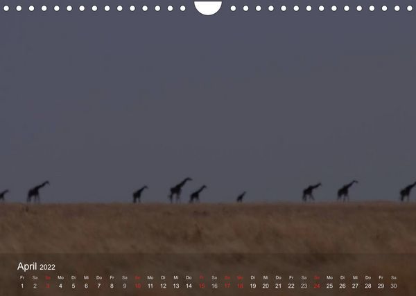 Produktbild: S&uuml;dliches Afrika (Wandkalender 2022 DIN A4 quer)
