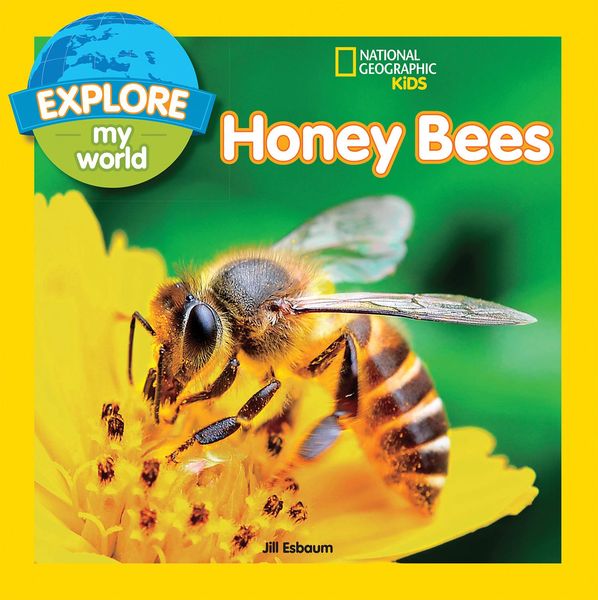 Produktbild: Explore My World: Honey Bees