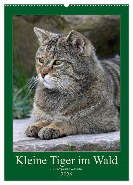 Kleine Tiger im Wald (Wandkalender 2026 DIN A2 hoch), CALVENDO Monatskalender