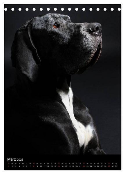 Produktbild: Faszination Deutsche Dogge (Tischkalender 2026 DIN A5 hoch), CALVENDO Monatskalender