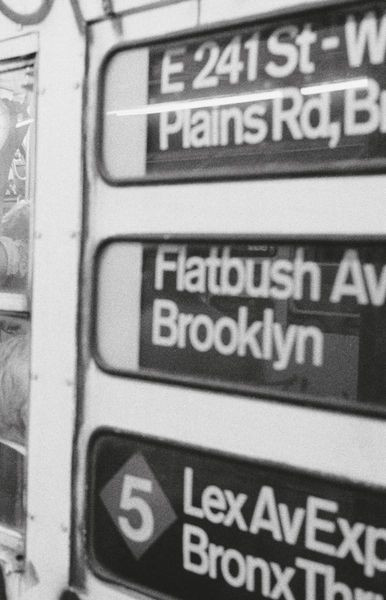 Produktbild: Brian Young: The Train NYC 1984