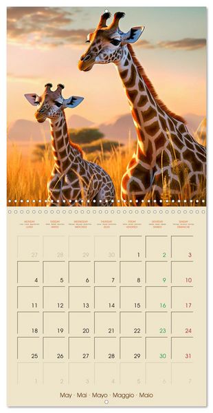 Produktbild: Let's go on Safari - Animal babies in Africa (Wall Calendar 2026 12 &times; 12 Inch) CALVENDO 12 Month Wall Calendar