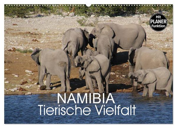 Namibia - Tierische Vielfalt (Planer) (Wandkalender 2026 DIN A2 quer), CALVENDO Monatskalender