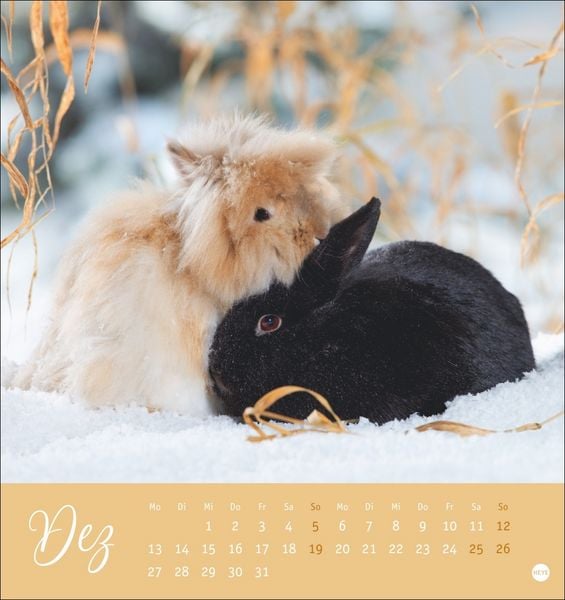 Produktbild: S&uuml;&szlig;e Kaninchen Postkartenkalender 2027