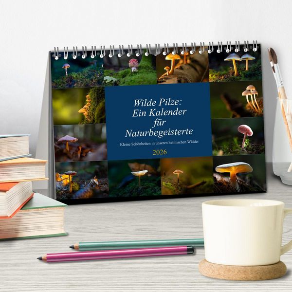 Produktbild: Wilde Pilze: Ein Kalender f&uuml;r Naturbegeisterte (Tischkalender 2026 DIN A5 quer), CALVENDO Monatskalender