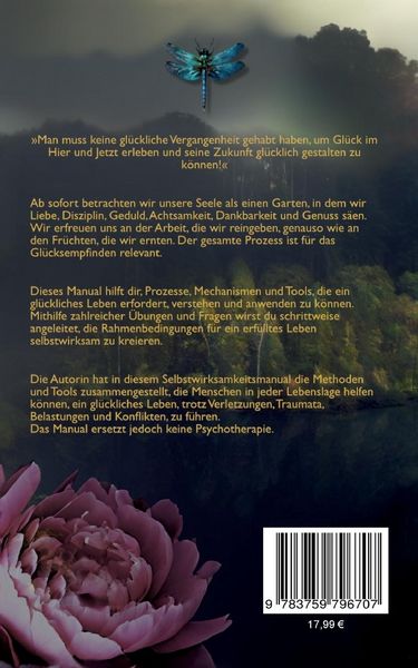 Produktbild: Selbstwirksamkeitsmanual (SWM)