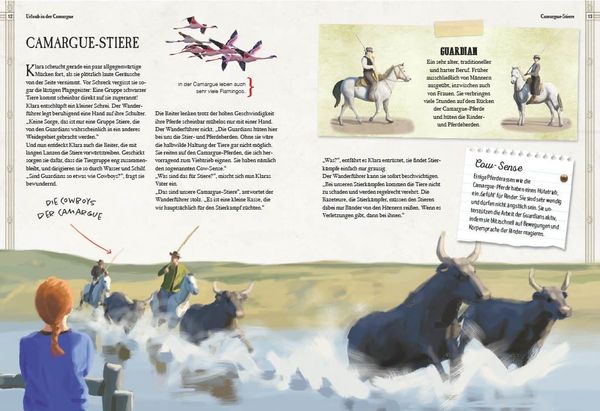 Produktbild: Verborgene Welt der Pferde