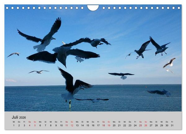 Produktbild: Blicke hinaus aufs Meer (Wandkalender 2026 DIN A4 quer), CALVENDO Monatskalender