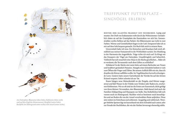 Produktbild: Gartenv&ouml;gel