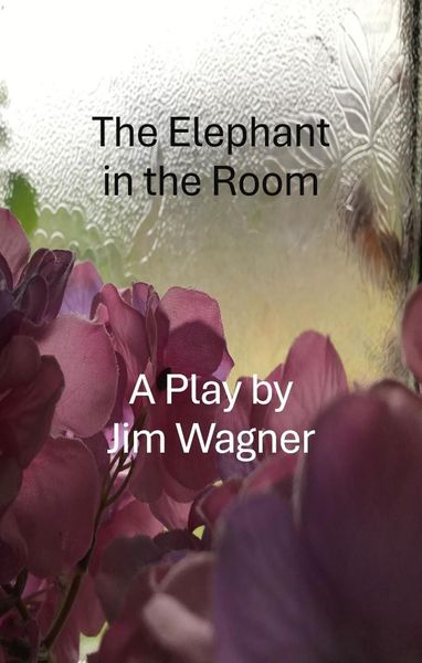 Produktbild: The Elephant in the Room