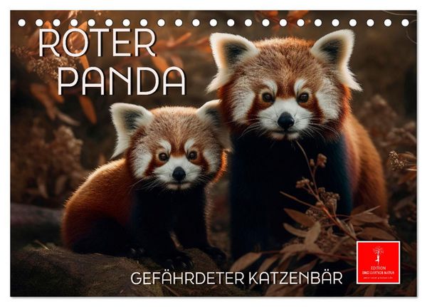 Roter Panda - gefährdeter Katzenbär (Tischkalender 2026 DIN A5 quer), CALVENDO Monatskalender