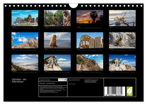 Produktbild: Gibraltar - der Affenfelsen (Wandkalender 2026 DIN A4 quer), CALVENDO Monatskalender