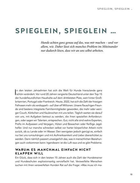 Produktbild: Das Geheimnis der Spiegelung