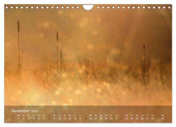 Produktbild: Zauberhaftes Norderstedt (Wandkalender 2026 DIN A4 quer), CALVENDO Monatskalender