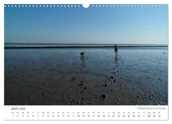 Produktbild: Ebbe und Watt 2026. Impressionen von der Nordseek&uuml;ste (Wandkalender 2026 DIN A3 quer), CALVENDO Monatskalender