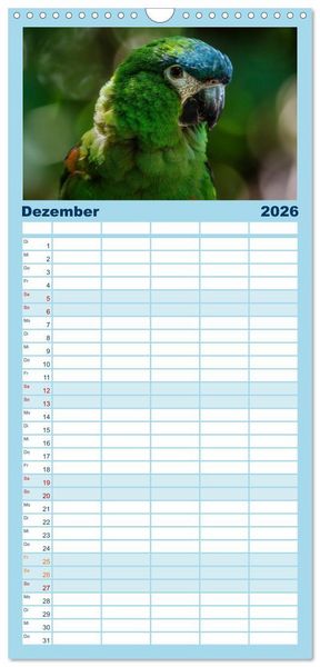 Produktbild: Familienplaner 2026 - Papageien - Frech, sch&ouml;n und schlau mit 5 Spalten (Wandkalender, 21 x 45 cm) CALVENDO