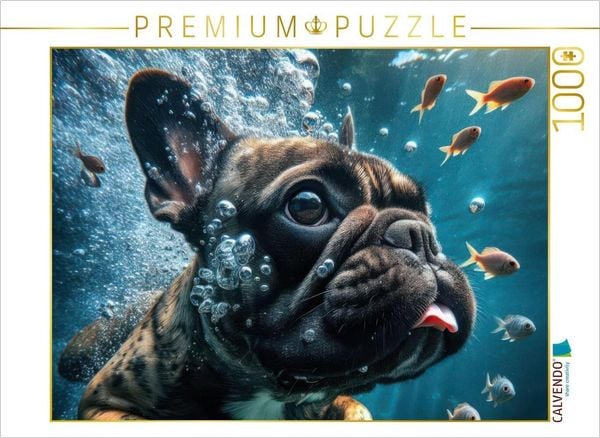 CALVENDO Puzzle Eine Französische Bulldogge taucht mit Fischen | 1000 Teile Lege-Größe 64x48cm Foto-Puzzle für glücklich