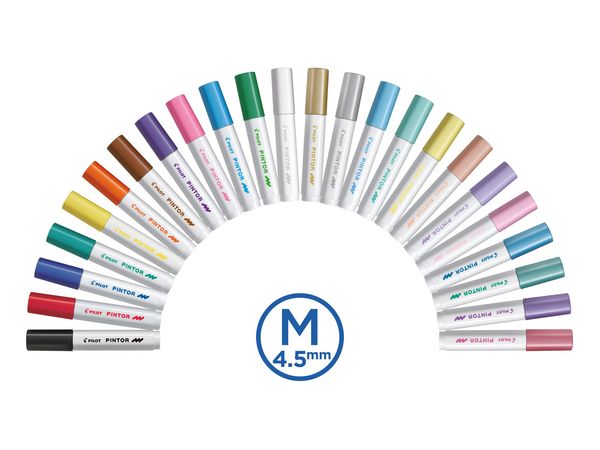 Produktbild: PILOT Kreativmarker PINTOR 4.5 (M) My Color Palette - Cool Colors 10er Set