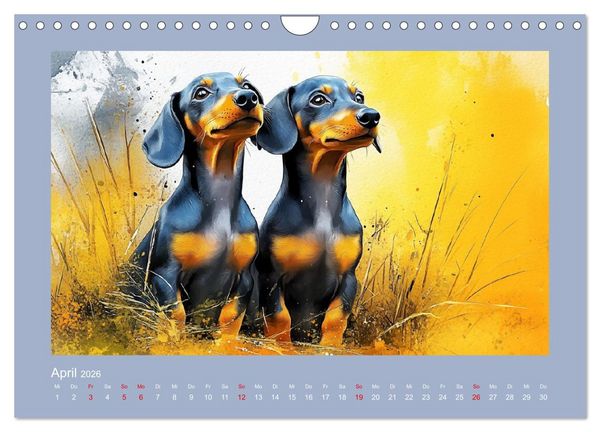 Produktbild: Dackelzauber. Charmante Begleiter im lieblichen Aquarell-Stil (Wandkalender 2026 DIN A4 quer), CALVENDO Monatskalender