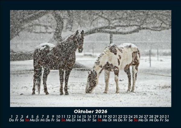 Produktbild: Pferdetraum 2026 Fotokalender DIN A5