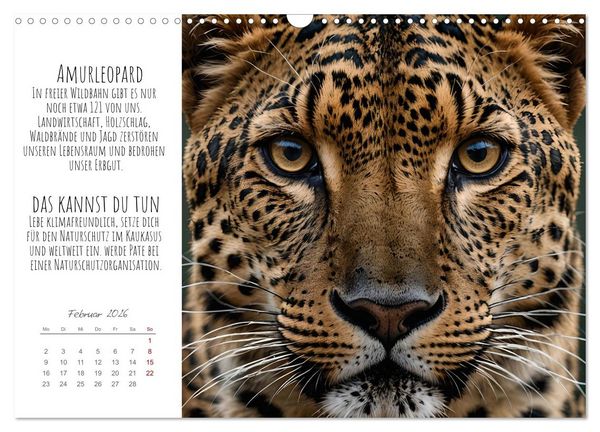Produktbild: Wir sind die Letzten hier! Wir sterben aus. Wie du uns helfen kannst! (Wandkalender 2026 DIN A3 quer), CALVENDO Monatskalender
