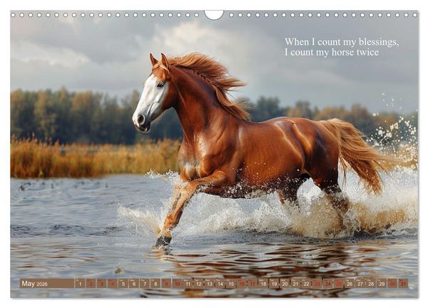 Produktbild: A Horse Makes You Complete (Wall Calendar 2026 DIN A3 landscape), CALVENDO 12 Month Wall Calendar