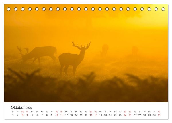 Produktbild: Mystische Nebellandschaften (Tischkalender 2026 DIN A5 quer), CALVENDO Monatskalender
