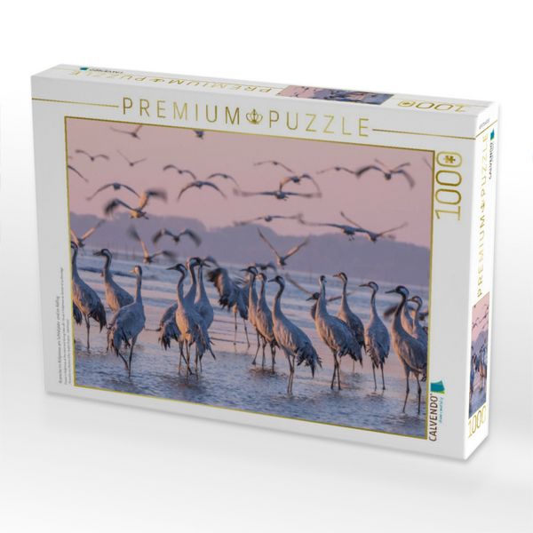 Produktbild: CALVENDO Puzzle Kraniche im K&ouml;lpinsee am Schlafplatz und im Abflug | 1000 Teile Lege-Gr&ouml;&szlig;e 64x48cm Foto-Puzzle f&uuml;r gl&uuml;ckliche Stunden