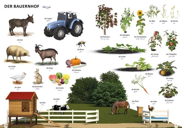 Produktbild: Bildw&ouml;rterbuch f&uuml;r Kinder und Eltern Persisch-Deutsch