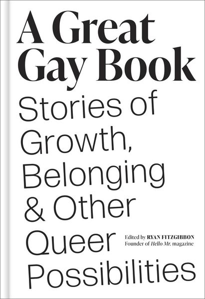 Produktbild: A Great Gay Book