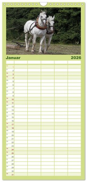 Produktbild: Familienplaner 2026 - Starke Pferde bei der Arbeit mit 5 Spalten (Wandkalender, 21 x 45 cm) CALVENDO