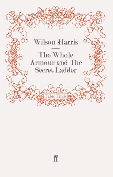 Produktbild: The Whole Armour and The Secret Ladder