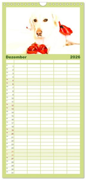 Produktbild: Familienplaner 2026 - Labrador Retriever 2026 mit 5 Spalten (Wandkalender, 21 x 45 cm) CALVENDO