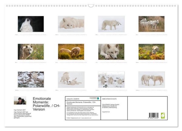 Produktbild: Emotionale Momente: Polarw&ouml;lfe. / CH-Version (Wandkalender 2026 DIN A2 quer), CALVENDO Monatskalender