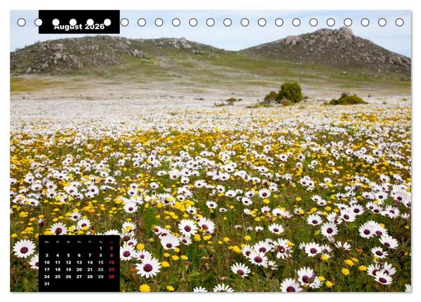 Produktbild: Blickpunkte des S&uuml;dlichen Afrika (Tischkalender 2026 DIN A5 quer), CALVENDO Monatskalender