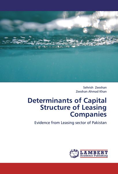 Produktbild: Determinants of Capital Structure of Leasing Companies
