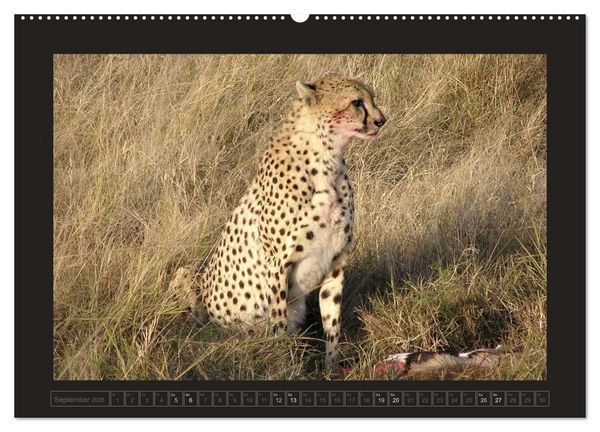 Produktbild: Kenia (hochwertiger Premium Wandkalender 2026 DIN A2 quer), Kunstdruck in Hochglanz