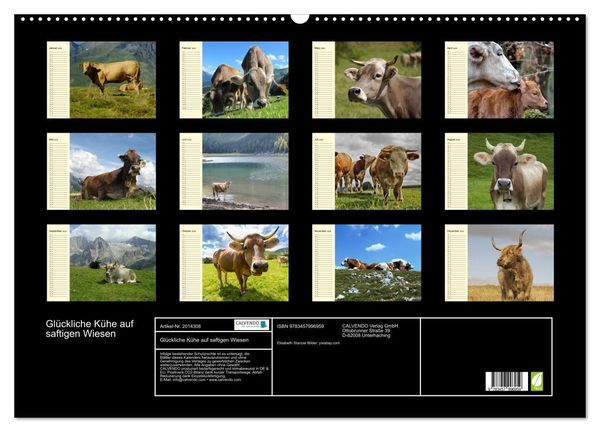 Produktbild: Gl&uuml;ckliche K&uuml;he auf saftigen Wiesen (Wandkalender 2026 DIN A2 quer), CALVENDO Monatskalender
